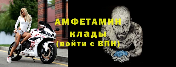 стафф Алексин