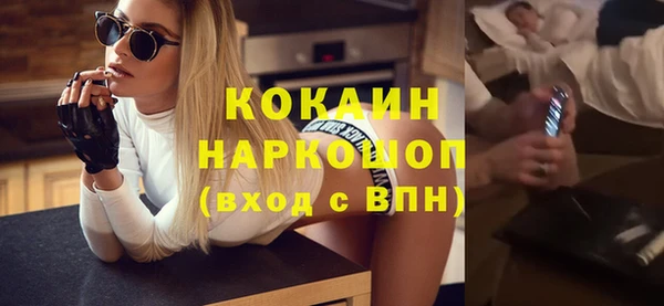 стафф Алексин