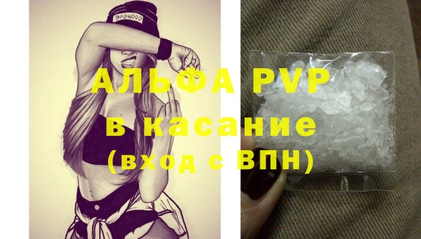 стафф Алексин