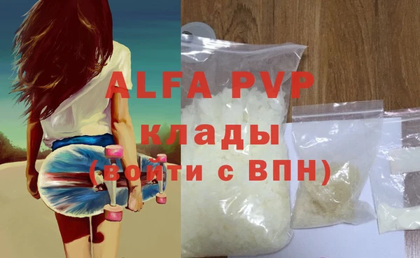 стафф Алексин