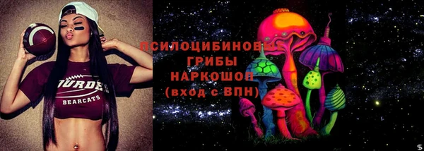 стафф Алексин